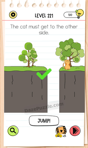 Brain Test Level 221