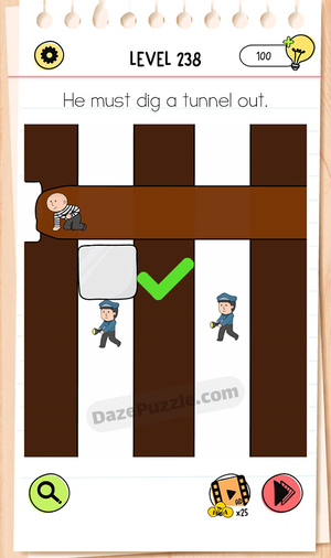 Brain Test Level 238