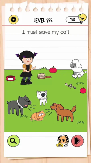 Brain Test Level 255