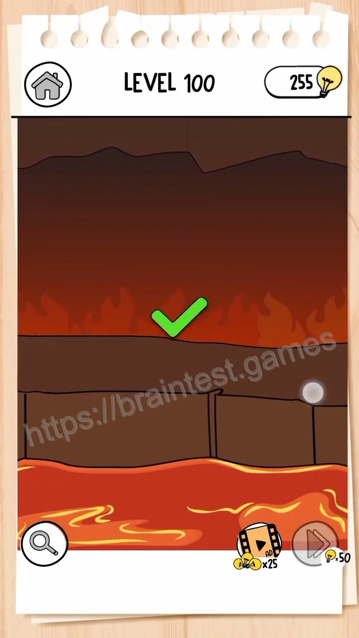 Brain Test Level 100 - Step 2