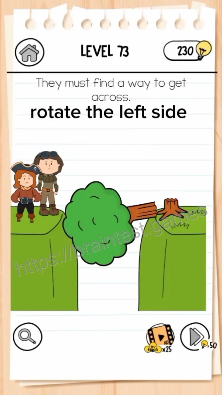 Brain Test Level 73