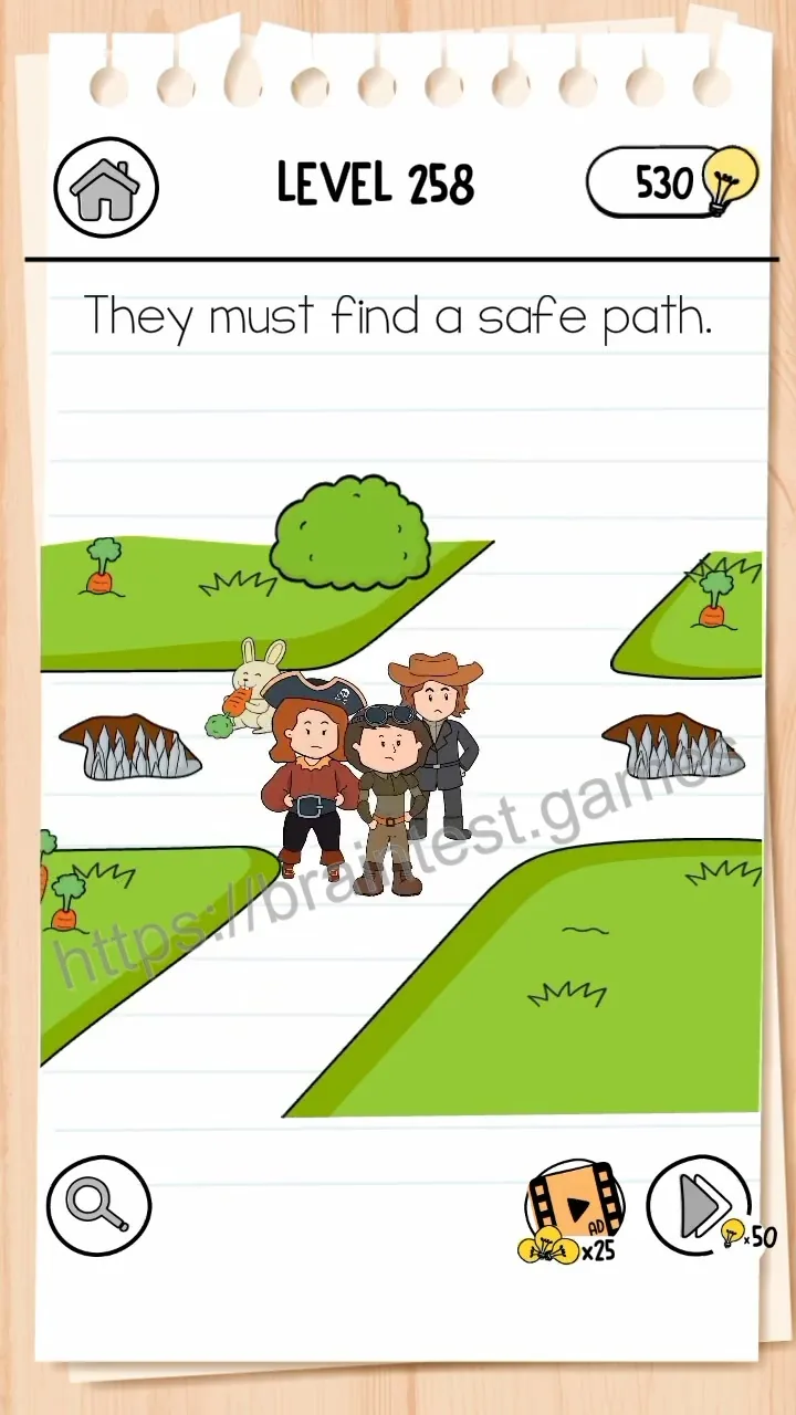 Brain Test Level 258