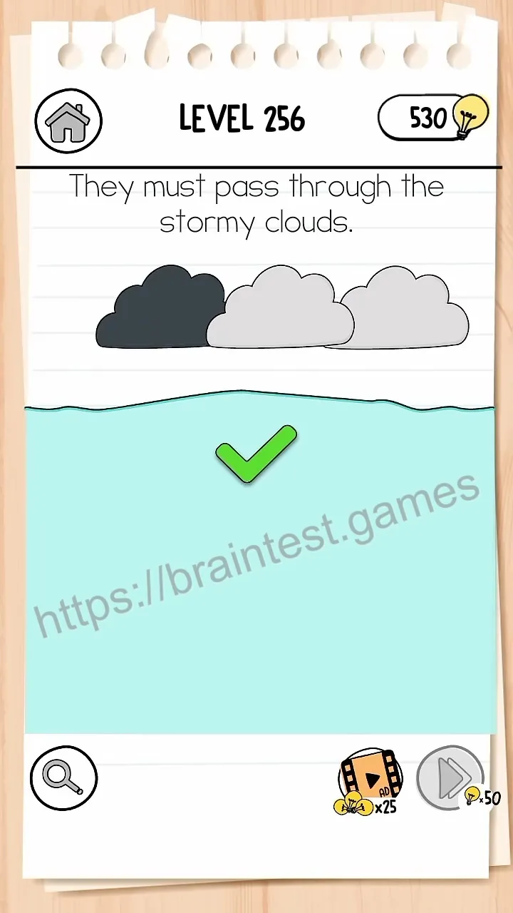 Brain Test Level 256 - Step 2