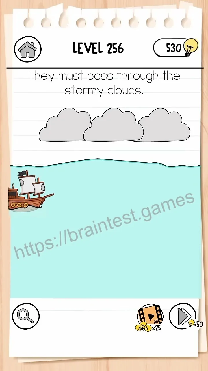 Brain Test Level 256