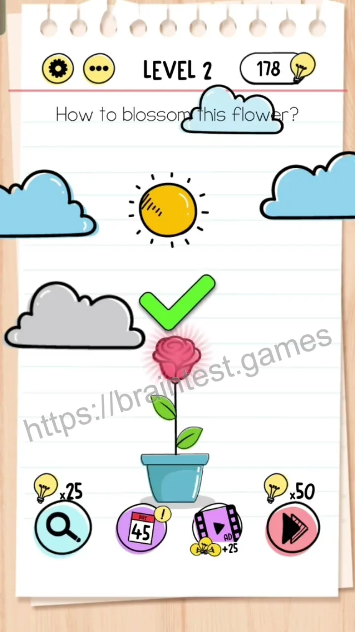 Brain Test Level 2 - Step 2