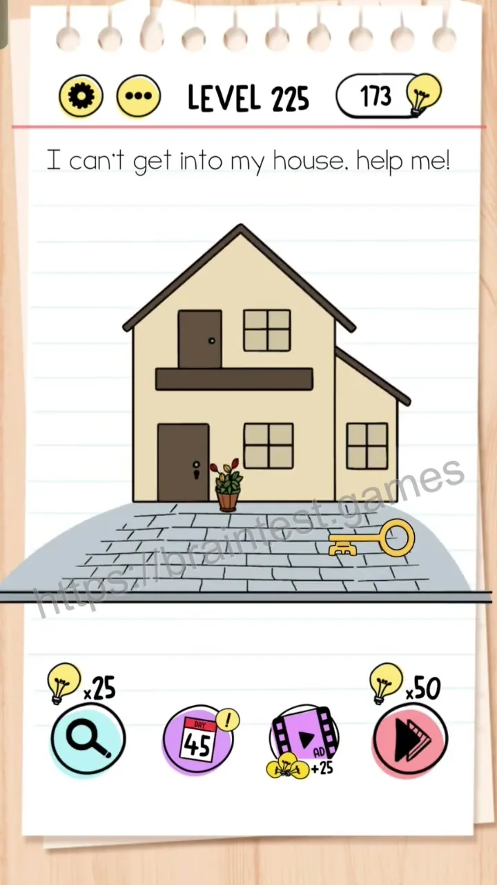 Brain Test Level 225