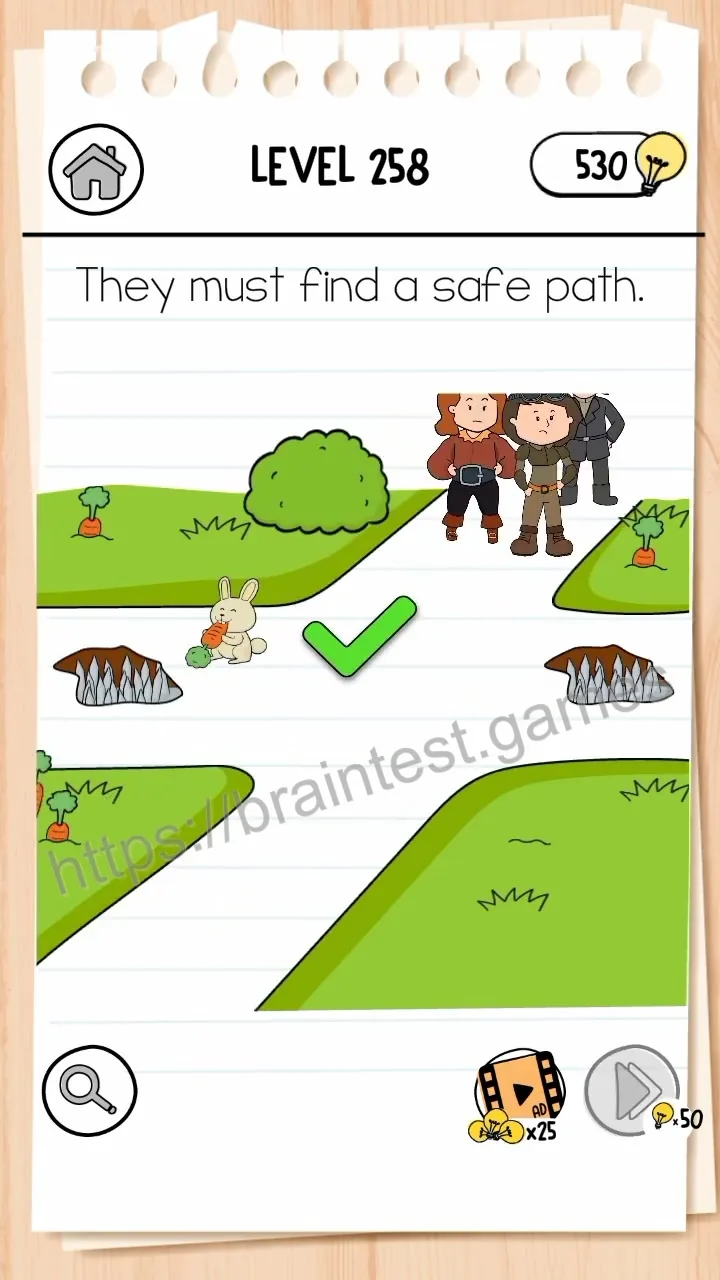Brain Test Level 258 - Step 2