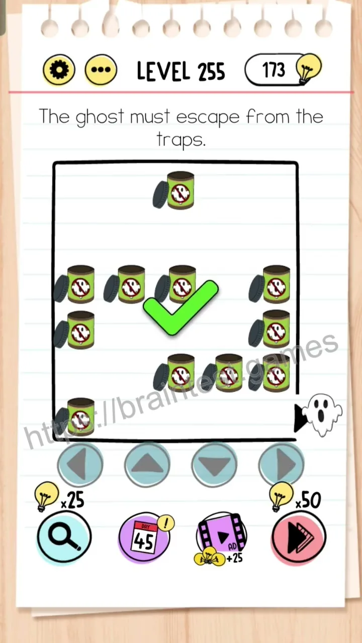 Brain Test Level 255 - Step 2