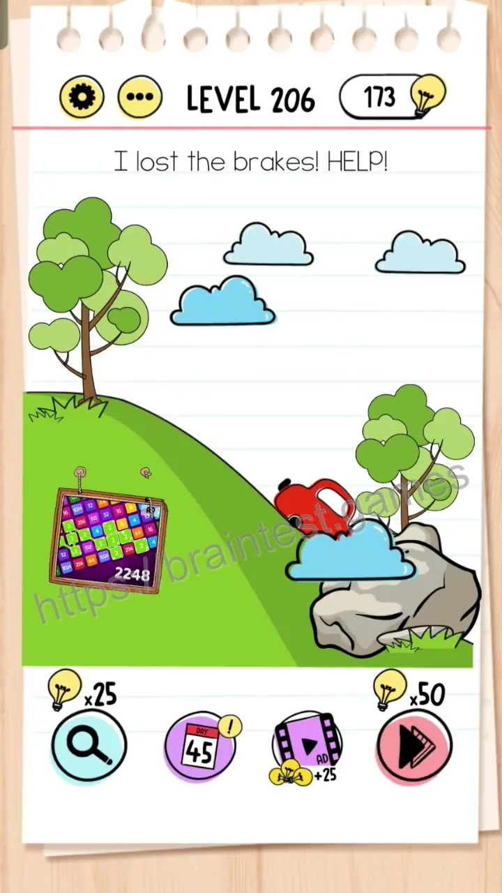 Brain Test Level 206