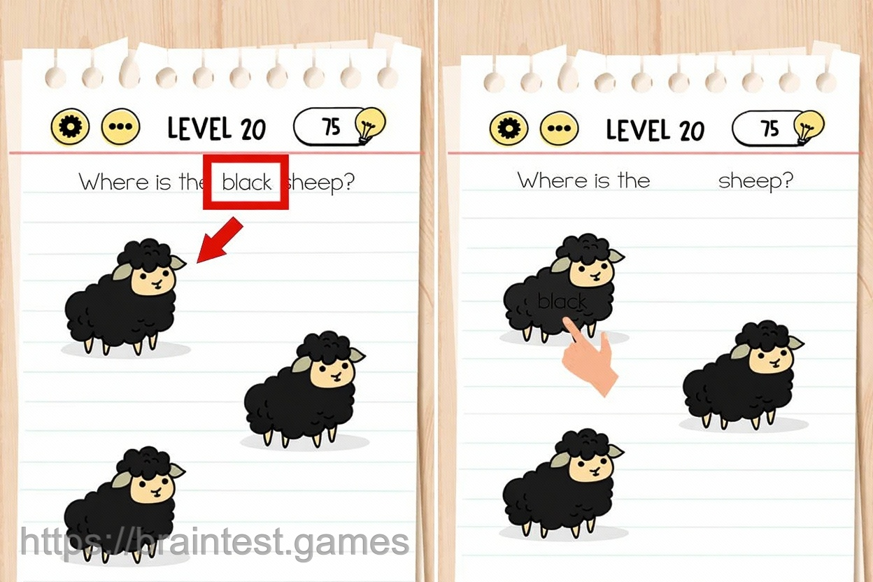 Level 20