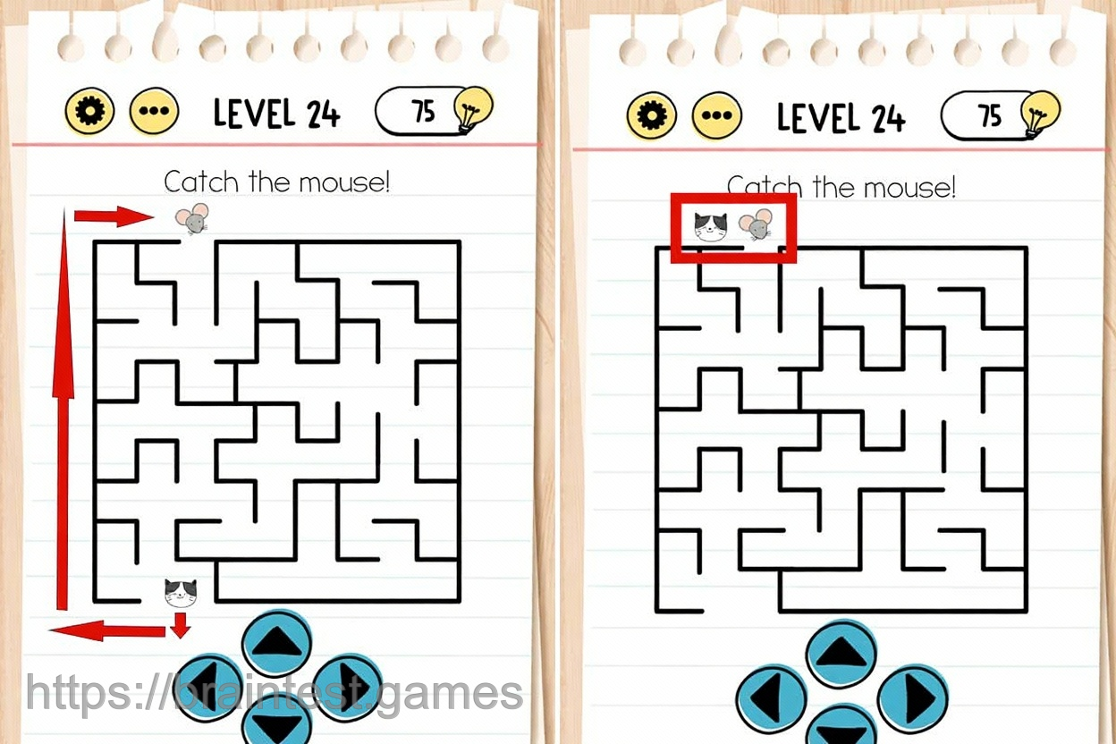 Level 24