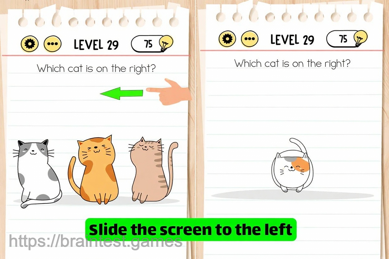 Level 29
