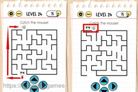 Brain Test Level 24